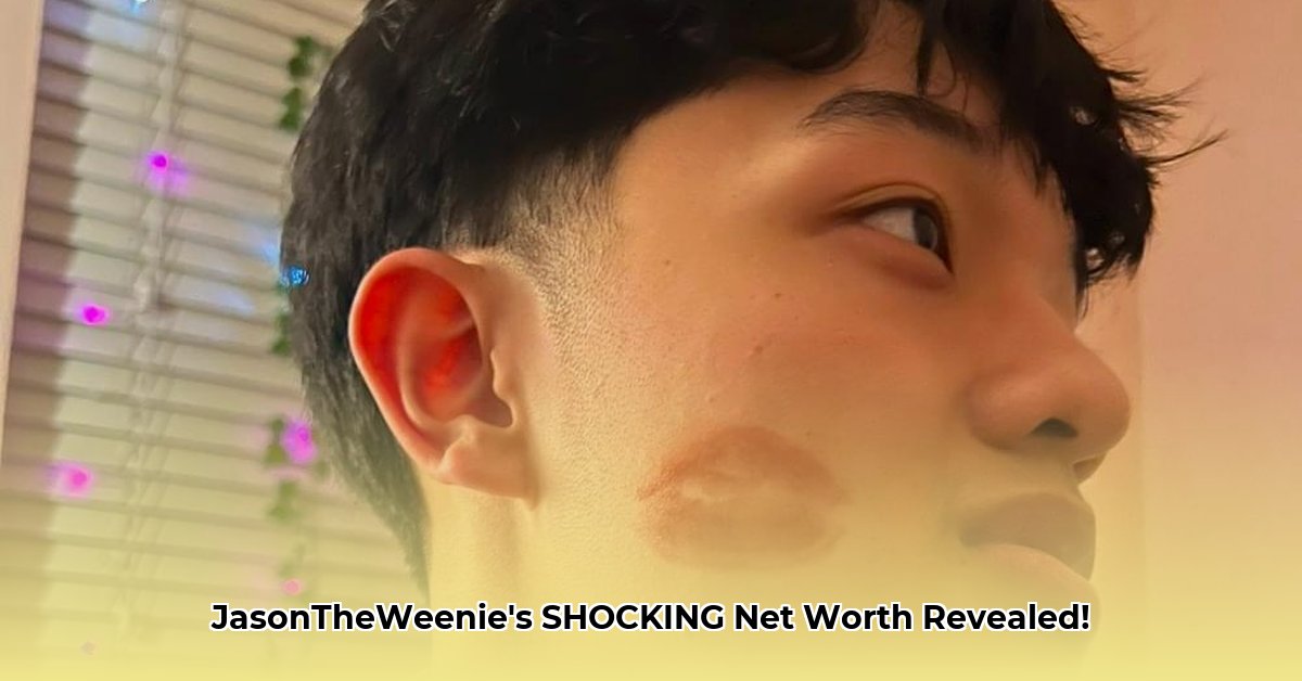 jasontheweenie-net-worth